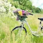 Comfortable With A Private Garden Σπίτι διακοπών *